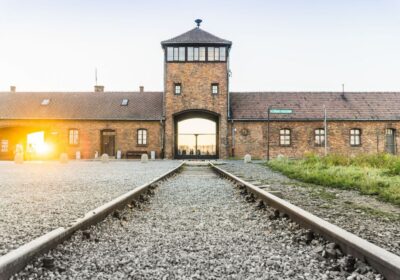 Pszczyna, Oświęcim 1 dzień (Wycieczki dla szkół)