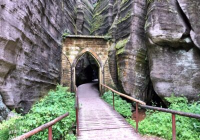 Czechy – Adrspach, Zoo Safari 1 dzień (Wycieczka dla szkół)