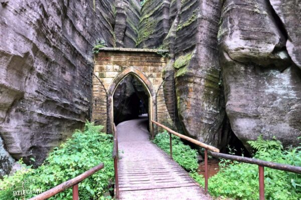 Czechy – Adrspach, Zoo Safari 1 dzień (Wycieczka dla szkół)
