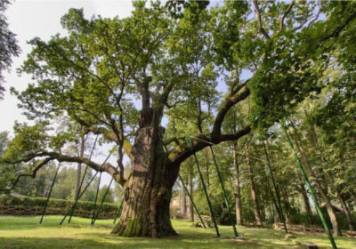 Góry Świętokrzyskie 3 dni (Wycieczki dla szkół)