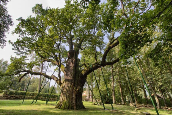 Góry Świętokrzyskie 3 dni (Wycieczki dla firmy)