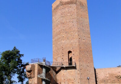 Gniezno, Biskupin, Żnin, Kruszwica 2 dni  (Wycieczki dla szkół)