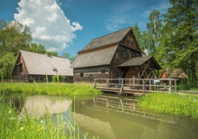 Muzeum Wsi Opolskiej, ZOO Opole 1 dzień (Wycieczki dla szkół)
