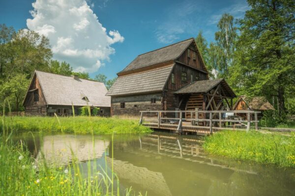 Muzeum Wsi Opolskiej, ZOO Opole 1 dzień (Wycieczki dla szkół)