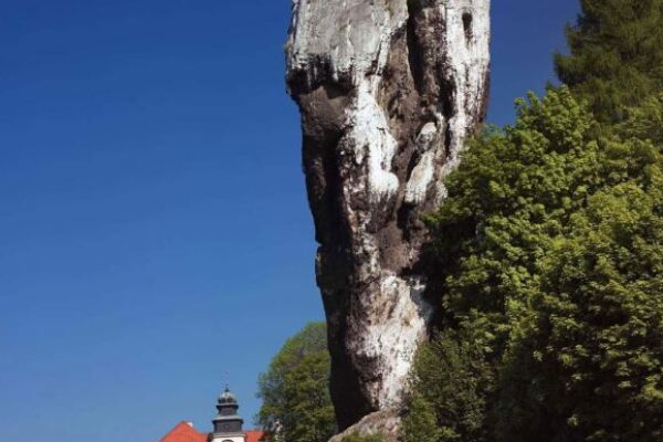 Ojcowski Park Narodowy i Zamek Ogrodzieniec 1 dzień (Wycieczki dla firmy)