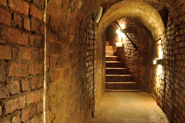 Góry Sowie – Tajemnice Obiektu „RISE” 2 dni (Wycieczki dla firmy)