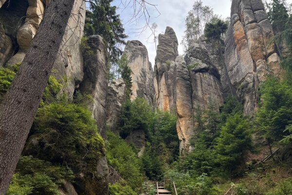 Czechy, Polska – Adrspach, Zoo Safari, Kotlina Kłodzka 3 dni (Wycieczka dla szkół)