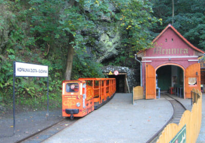 Kopalnia Złota i Park Linowy Skalisko 1 dzień (Wycieczki dla szkół)