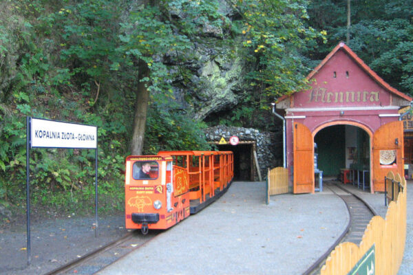 Kopalnia Złota i Park Linowy Skalisko 1 dzień (Wycieczki dla szkół)